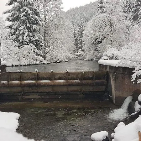 Riesneralm 33 * Donnersbachwald